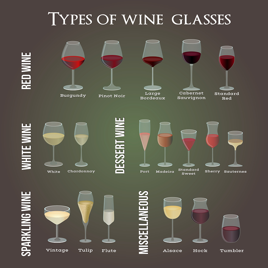 Wine glass types infographic