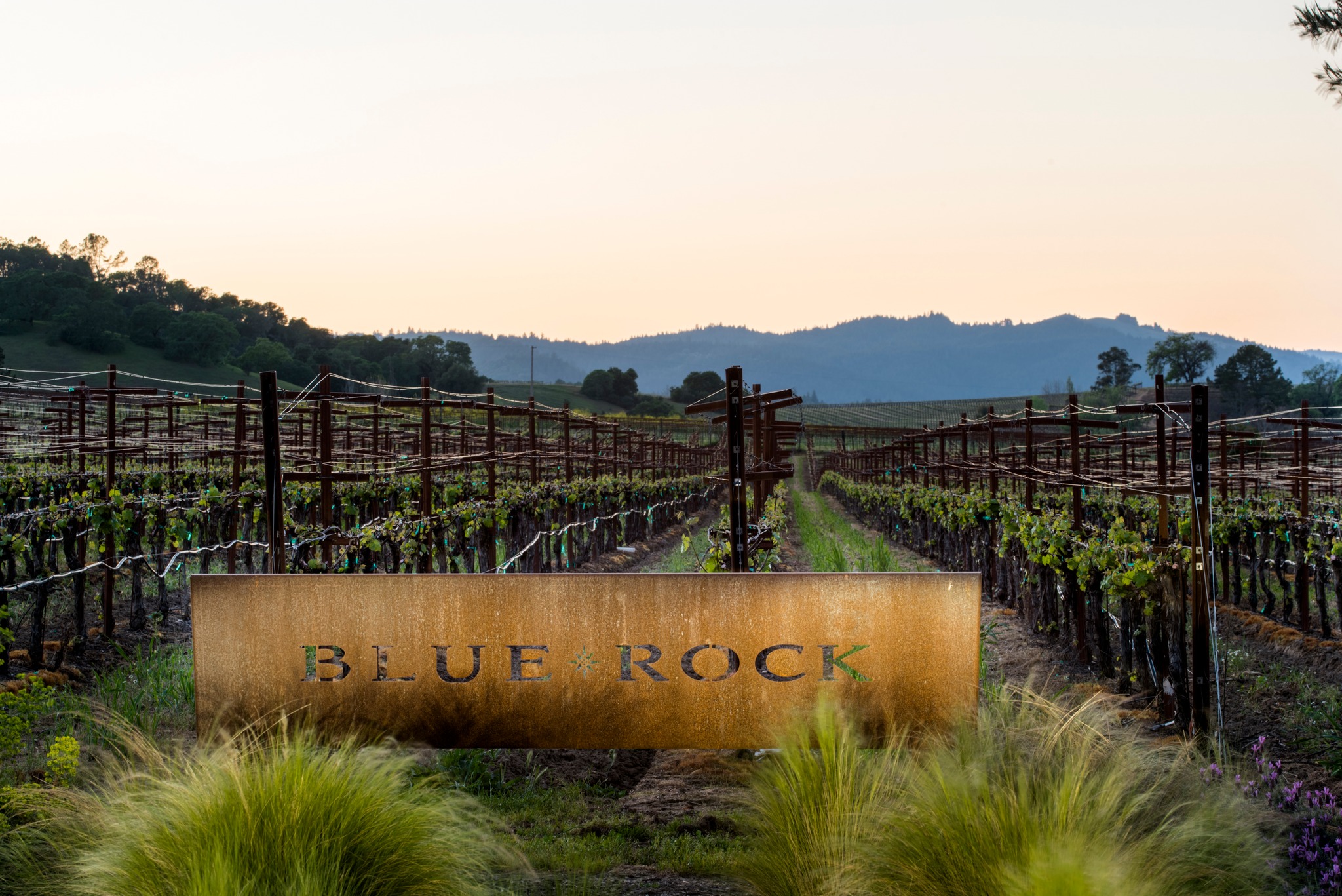 Blue Rock Vineyards in Sonomy County, California